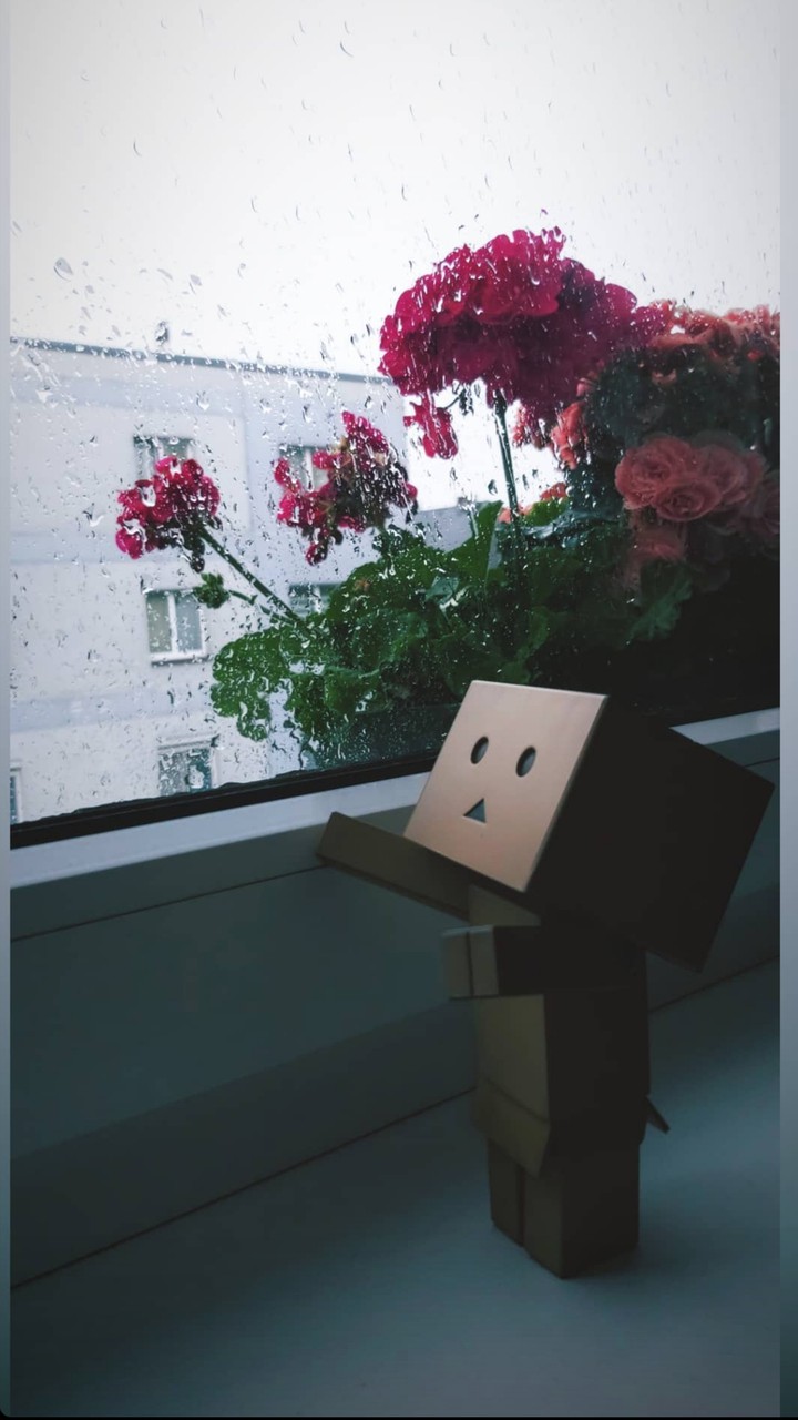 rain ❤️