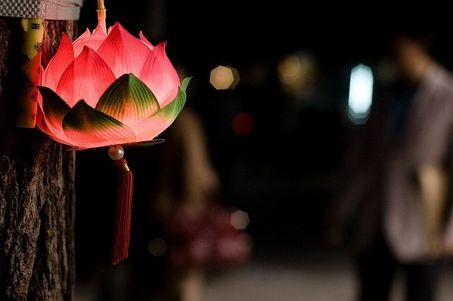 Lotus Lantern