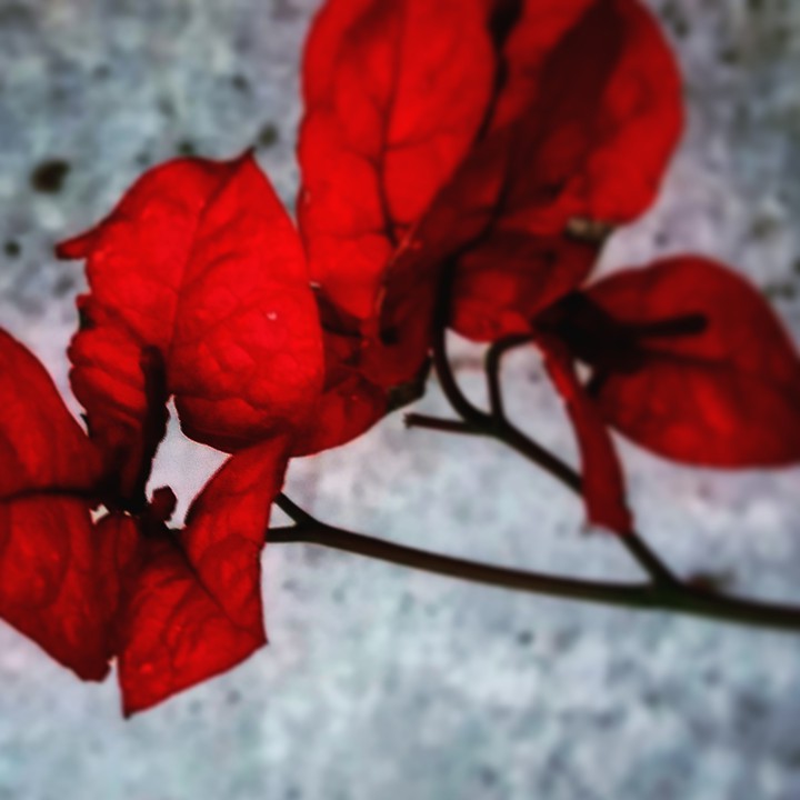 red