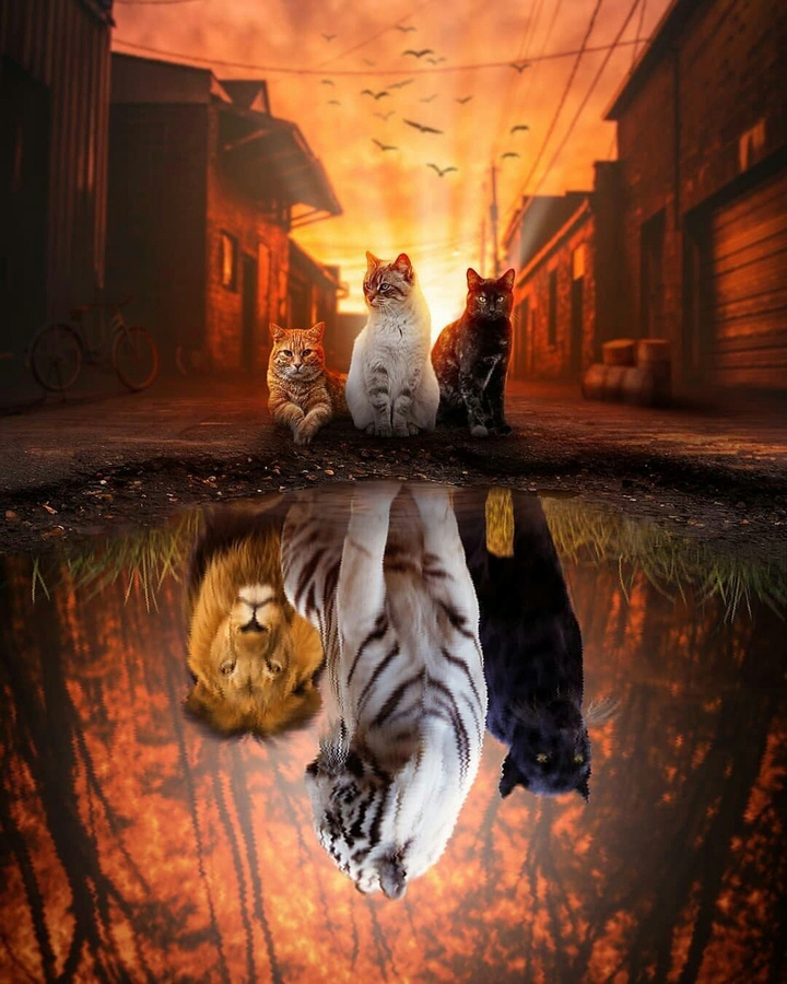 ?