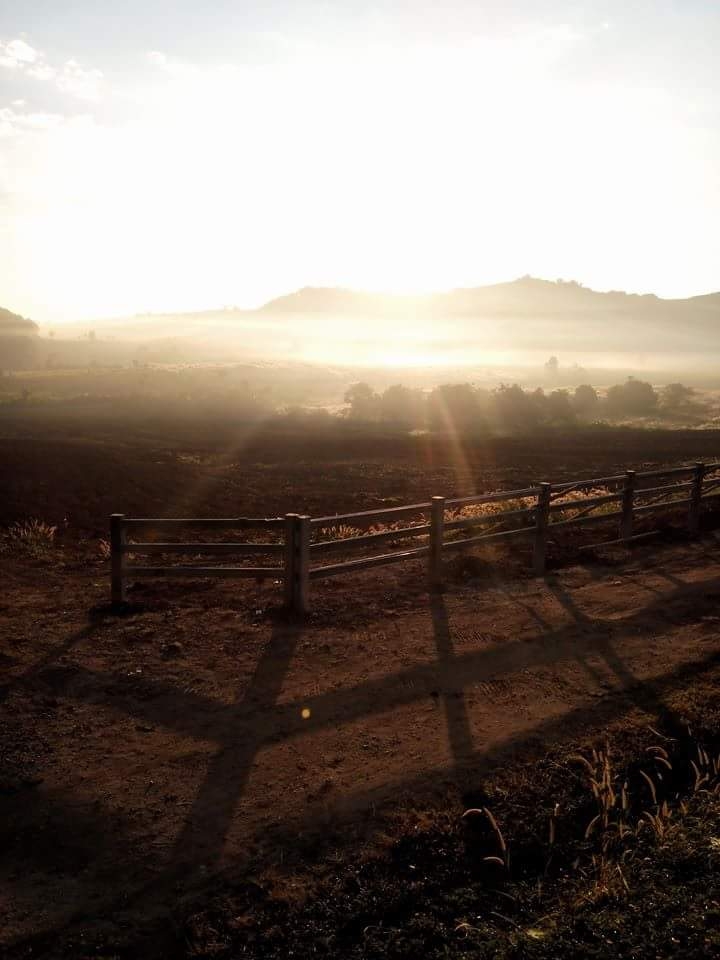 sunshine