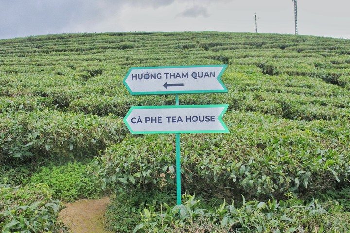 Cầu Đất farm