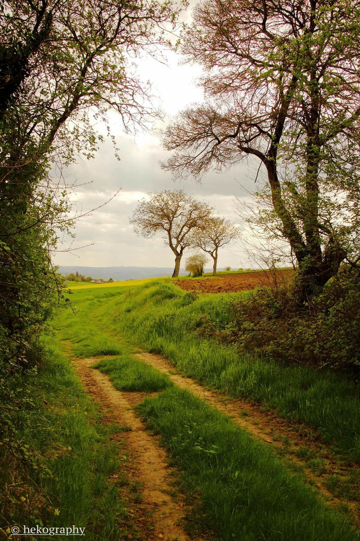 way to home....