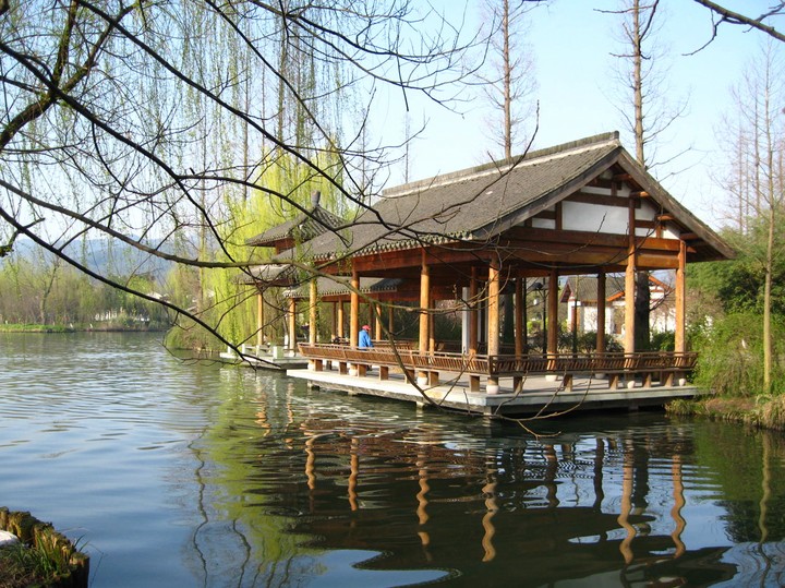 over the morning lake