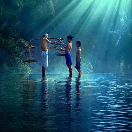 the beauty of Indonesia's nature