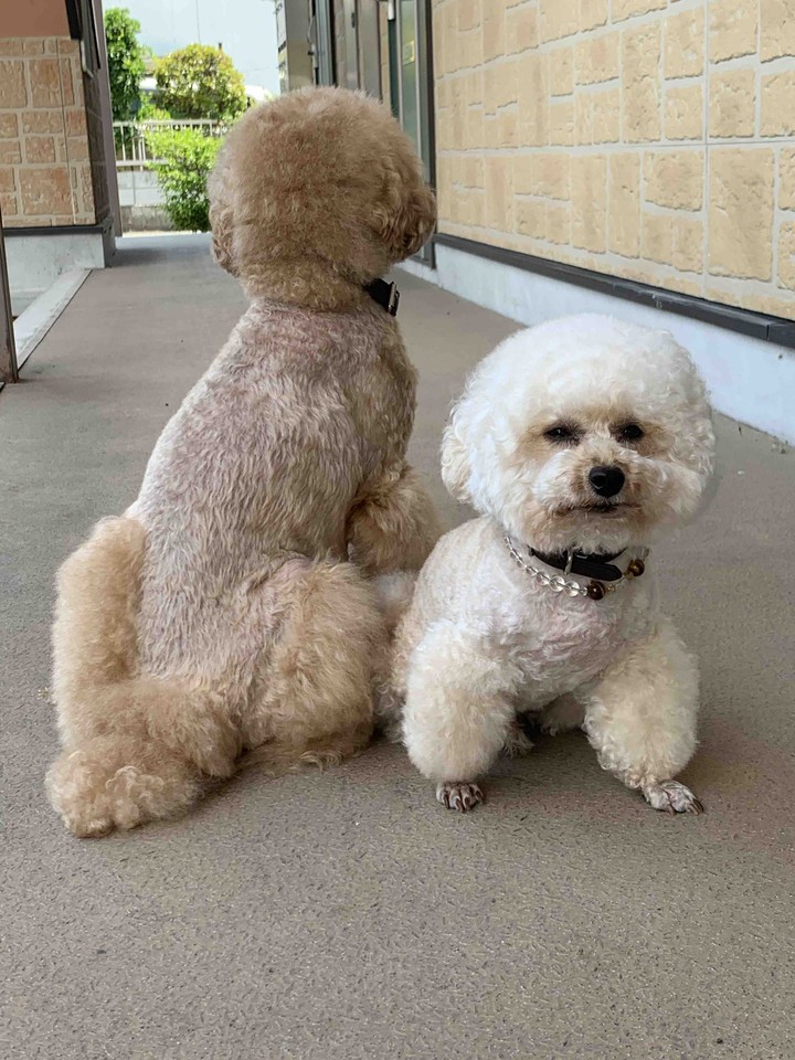 Lucky & Money