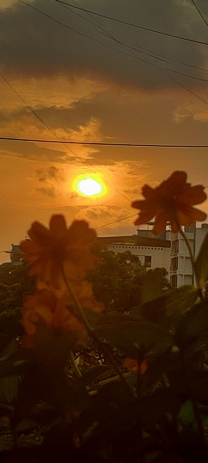 in city's sunset