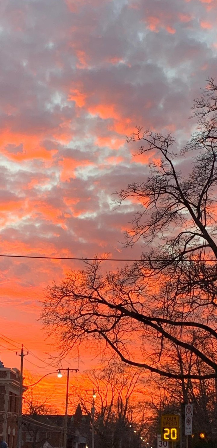 oranges sky ✨