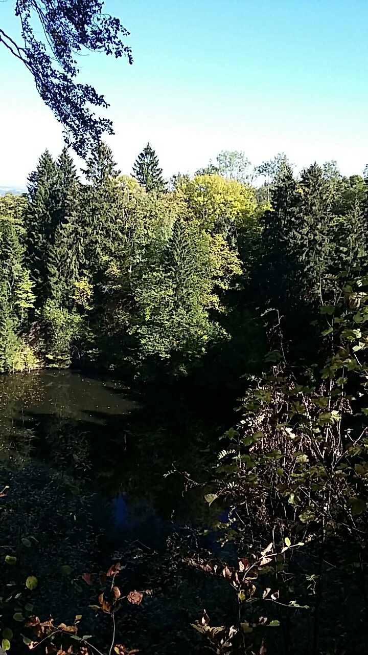 Waldsee