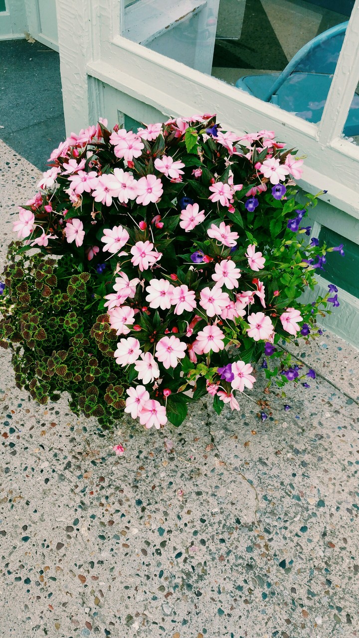 pink!