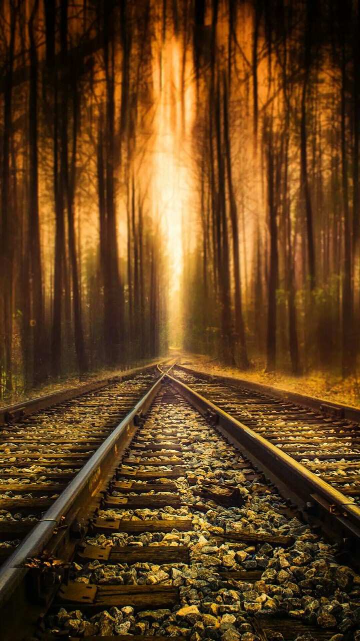 Rail Ways
