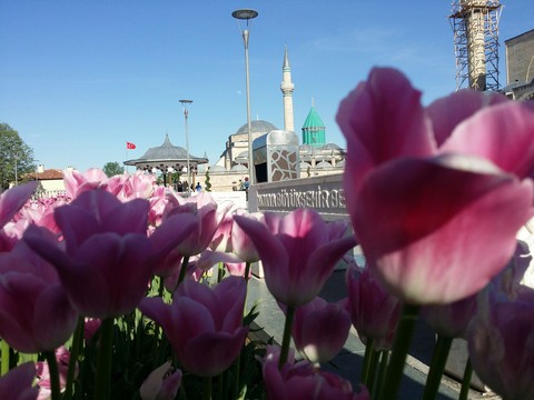 Mevlana Celaleddin-i Rûmî Hazretleri