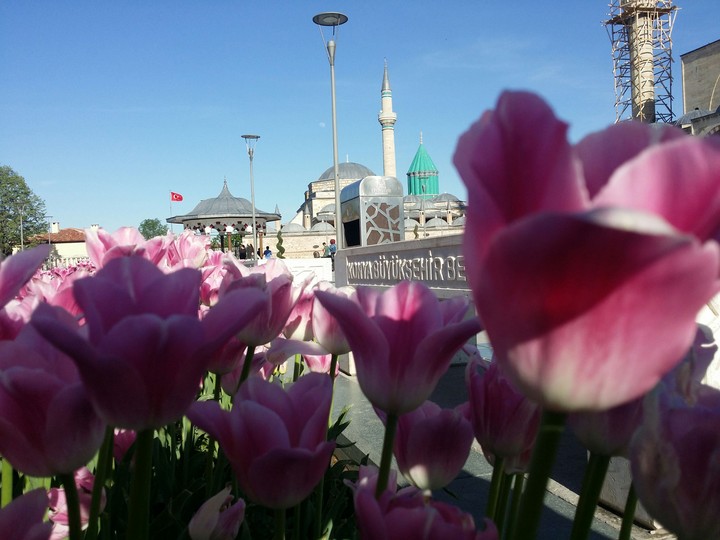 Mevlana Celaleddin-i Rûmî Hazretleri