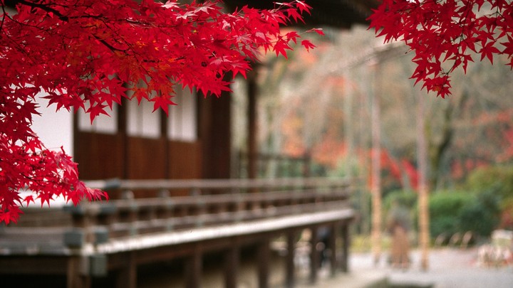 Autumn