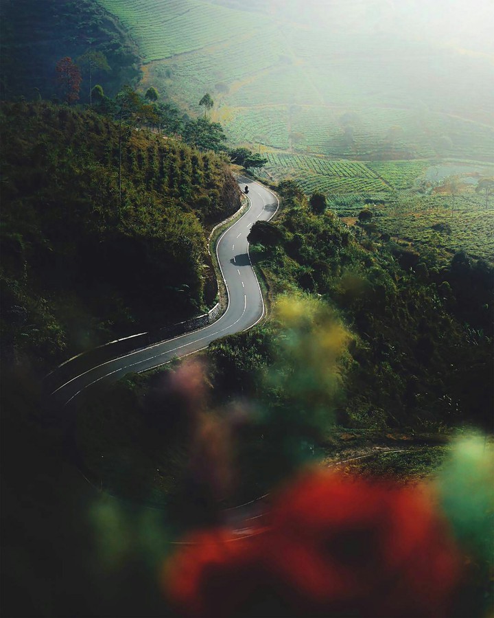 nature