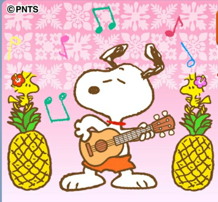 Hawaiian Snoopy
