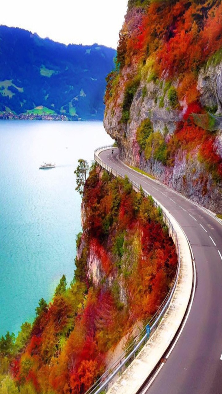 autumn