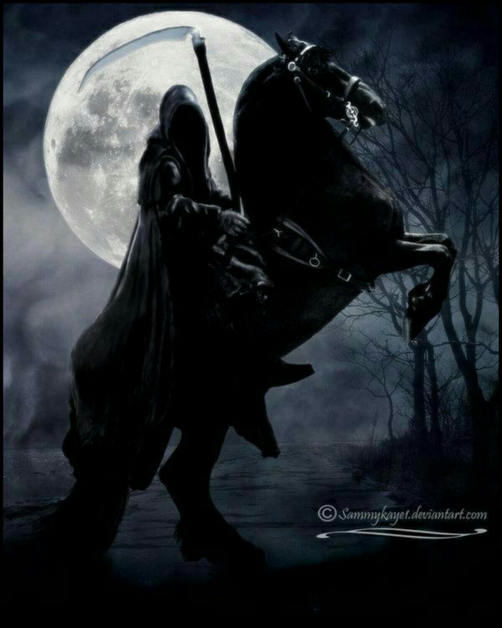 DARK HORSE