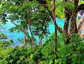 NATURAL RESERVE