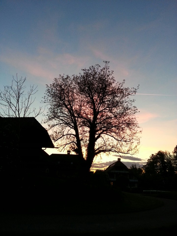 abendstimmung