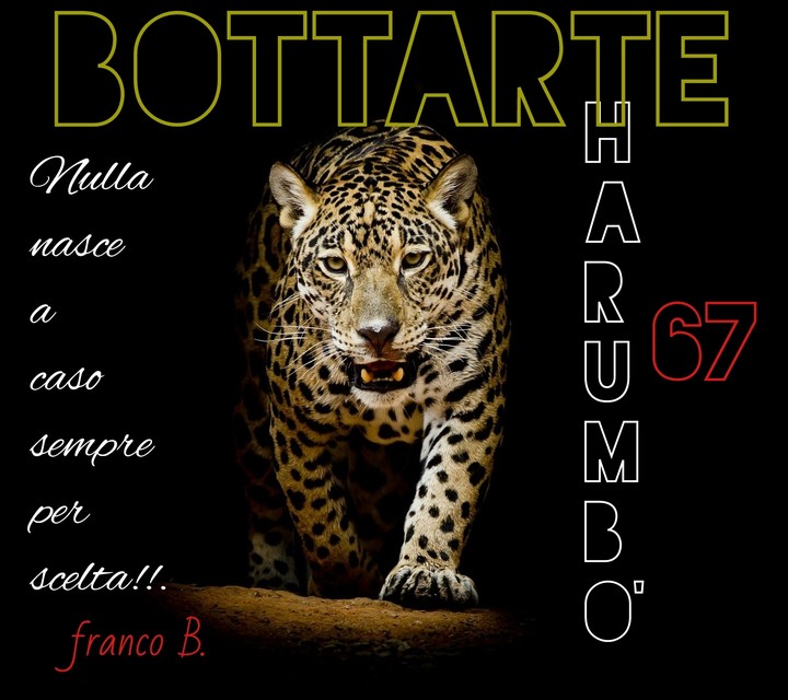 bottarte tharumbo