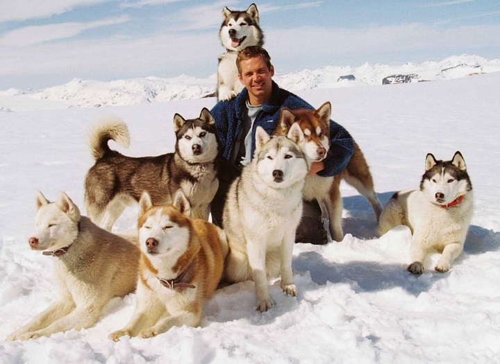 PAUL WALKER