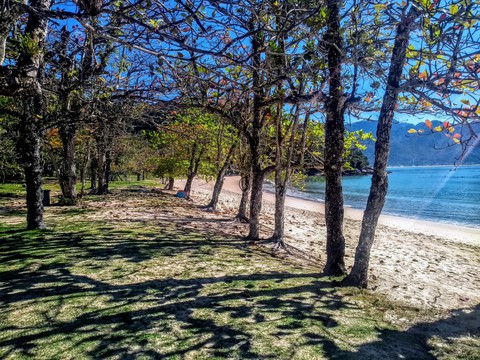 Praia do Pulso Ubatuba SP