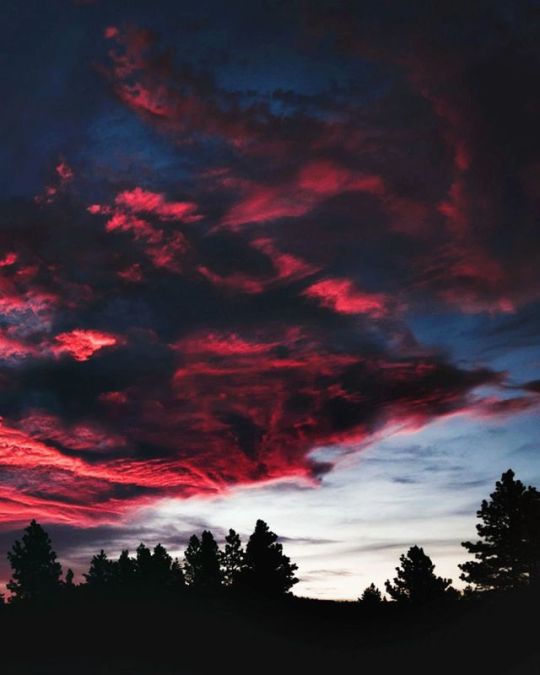 Evening