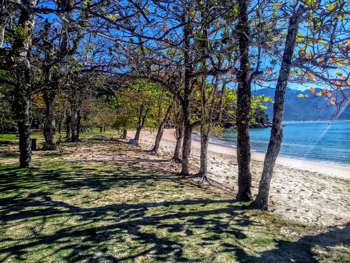Praia do Pulso Ubatuba SP