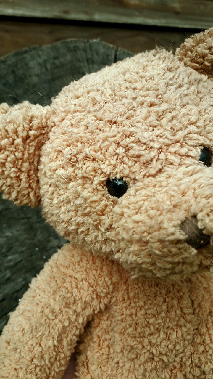 bear ❤