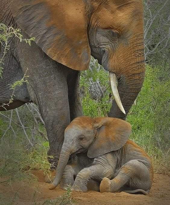 Mother and Child