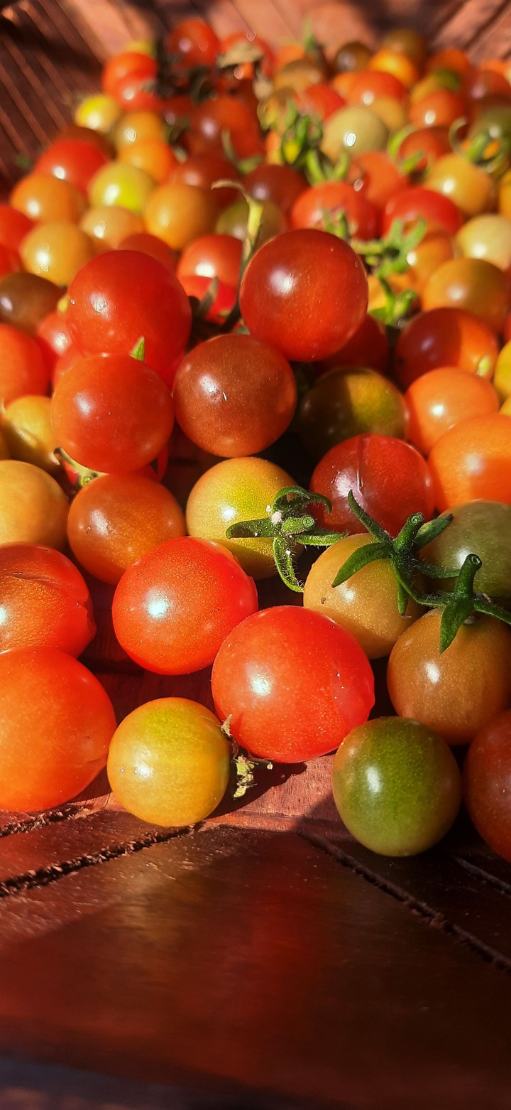 # cherry ? tomatoes