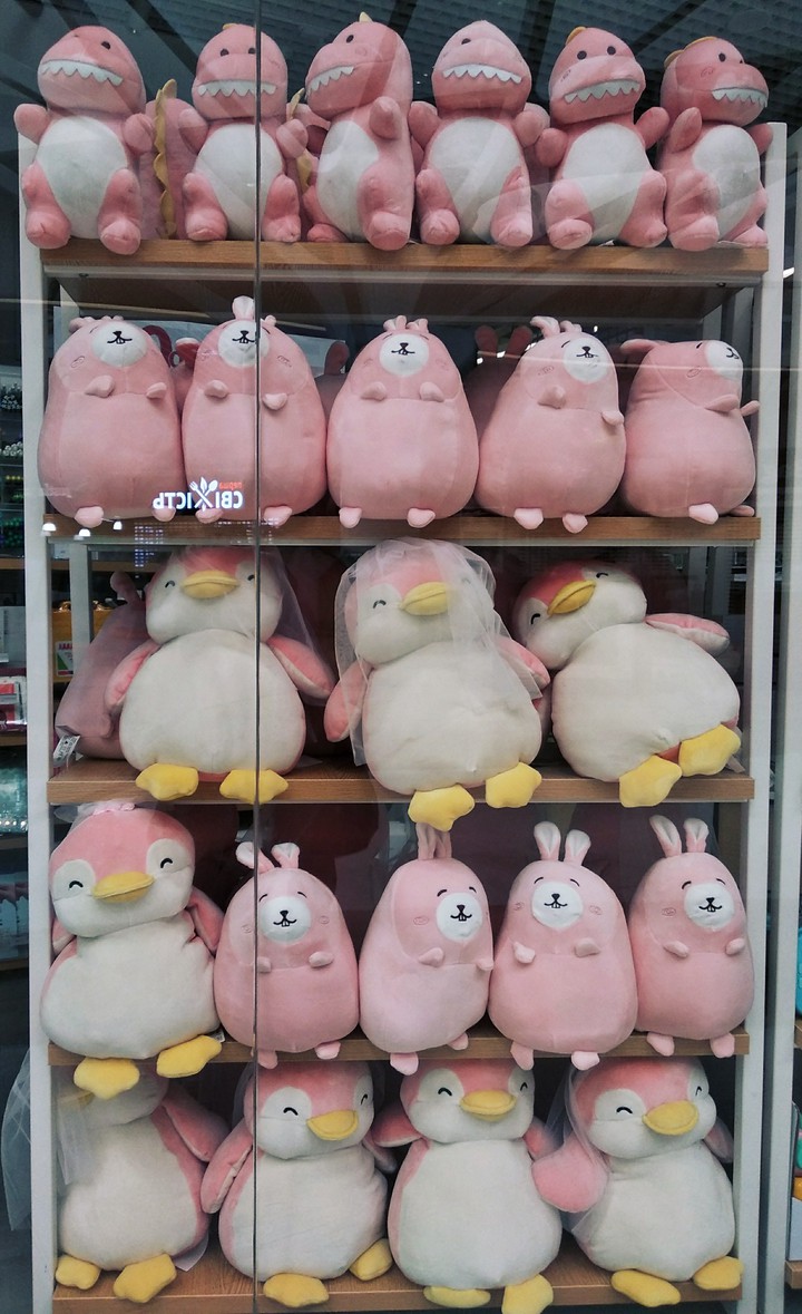 at miniso window