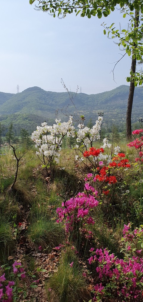 파주 서원벨리에서