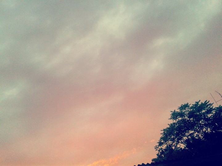 View from my window