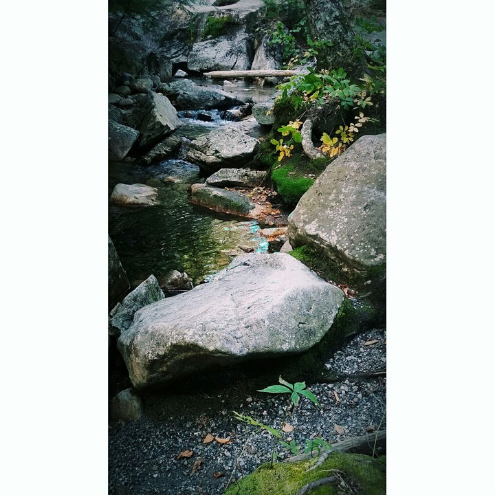 white Mountain