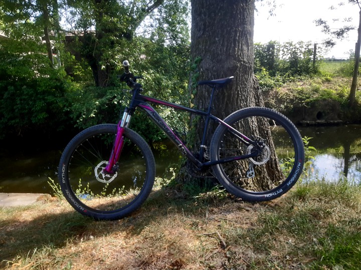velo