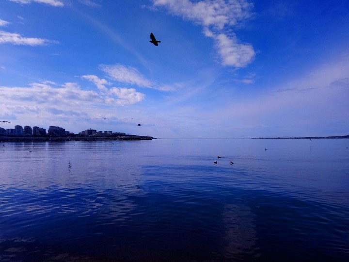 black sea