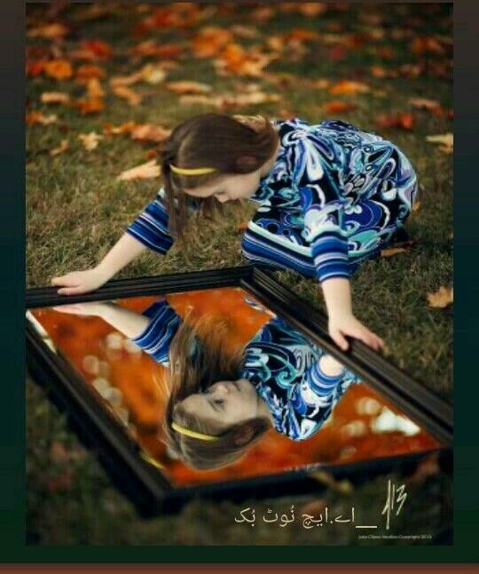 reflection in mirror