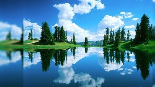 nature