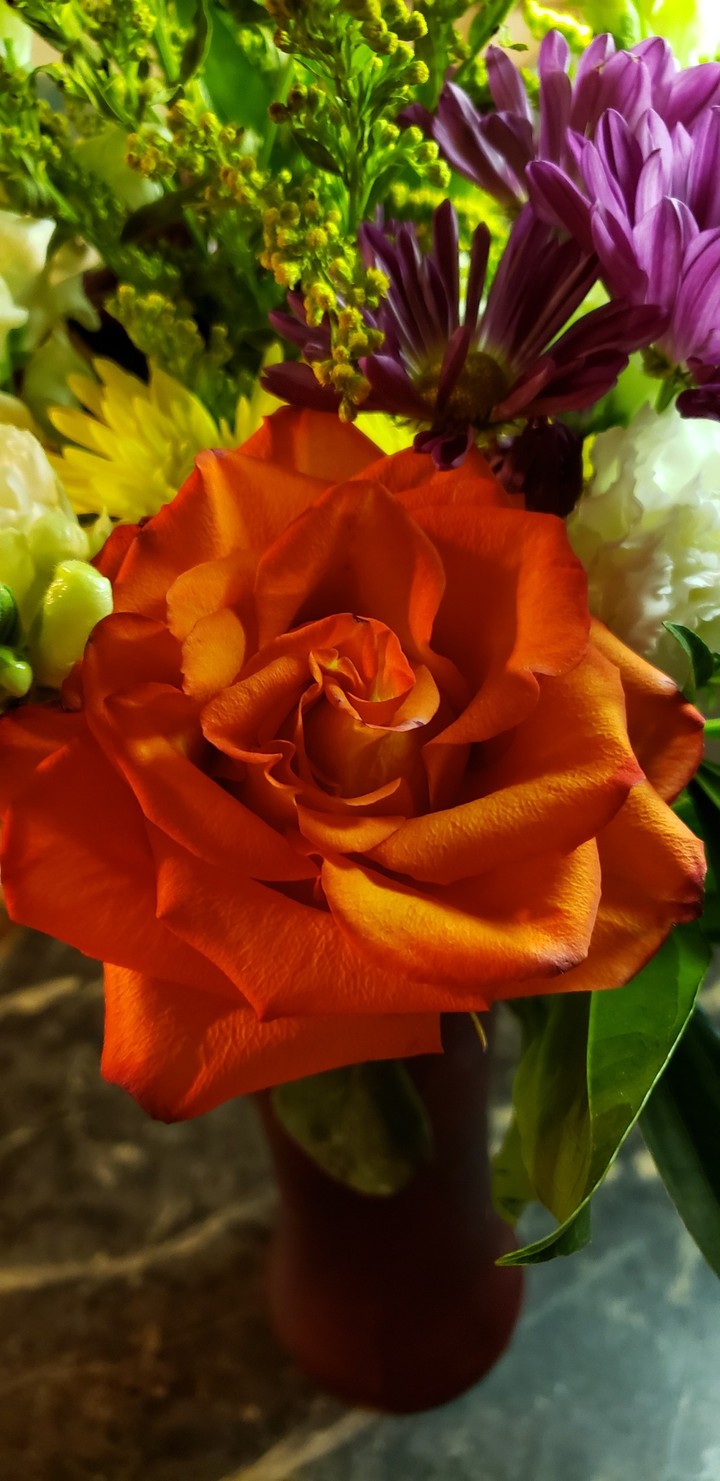 Rose