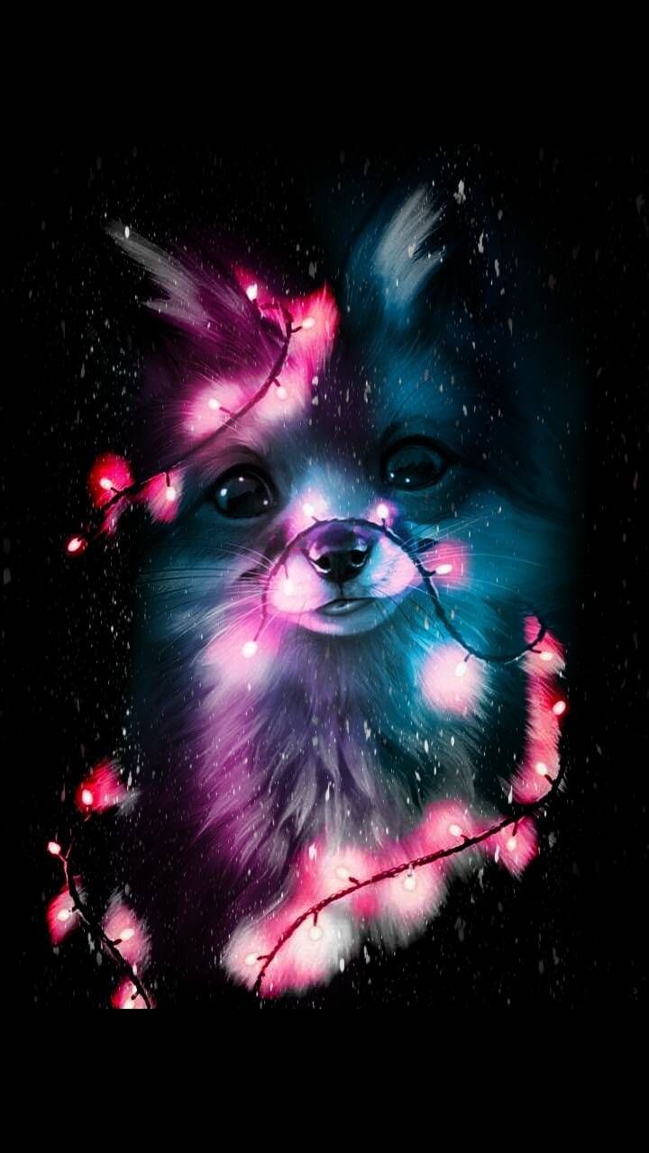 Pets