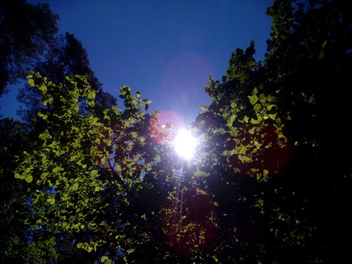 Sky