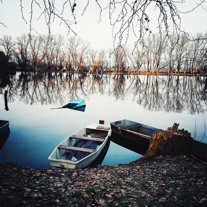 boats