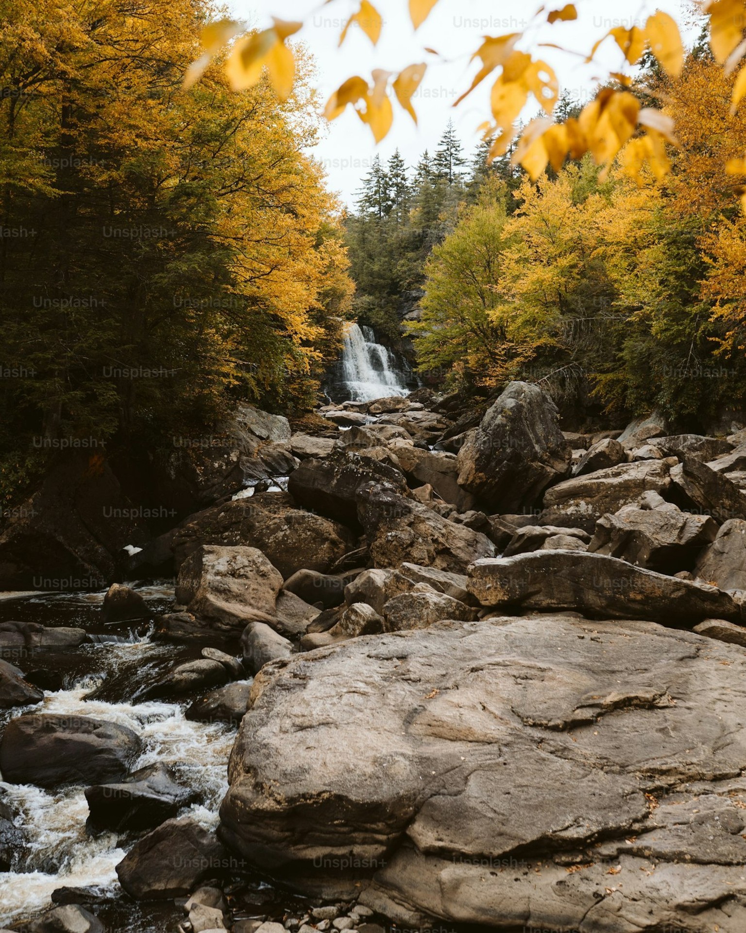 tapety nature, stream