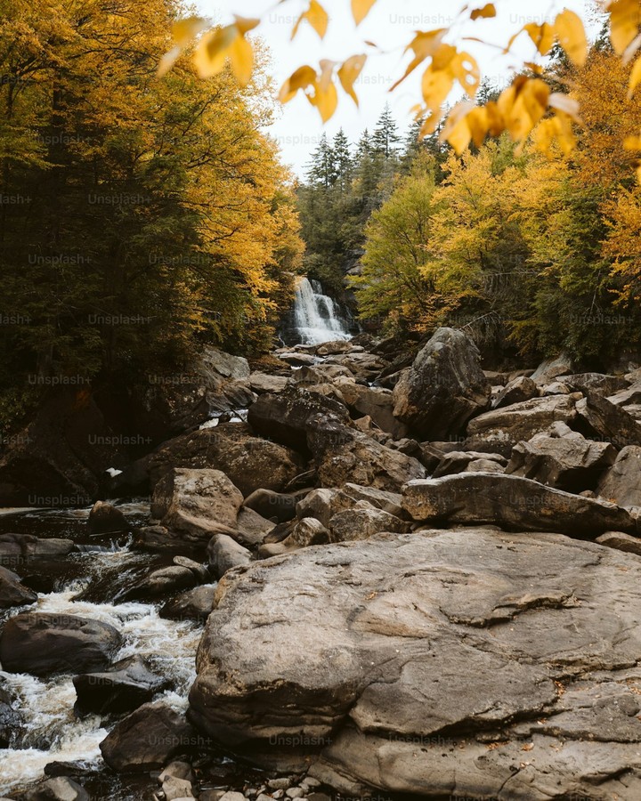 papéis de parede watercourse, nature