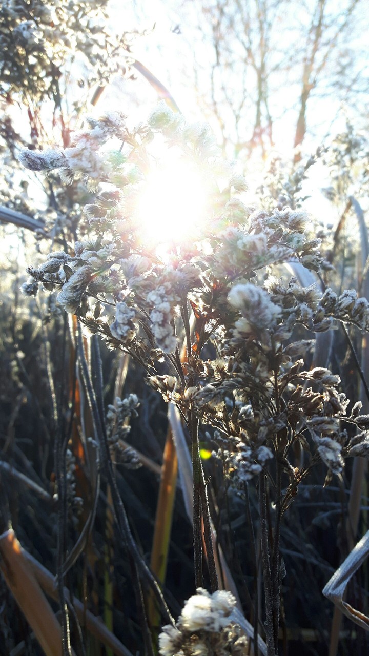 cold sunny morning