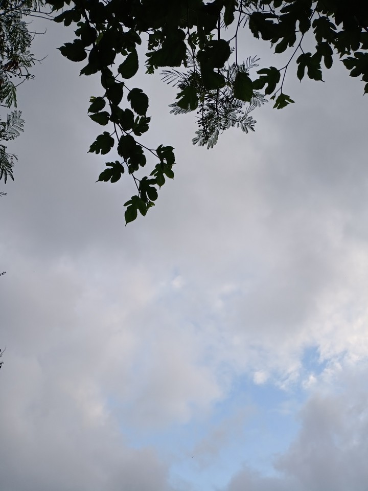 Cloudly