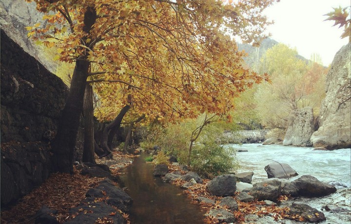 autumn