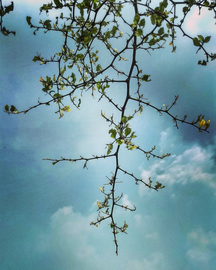 Nature always makes you happy